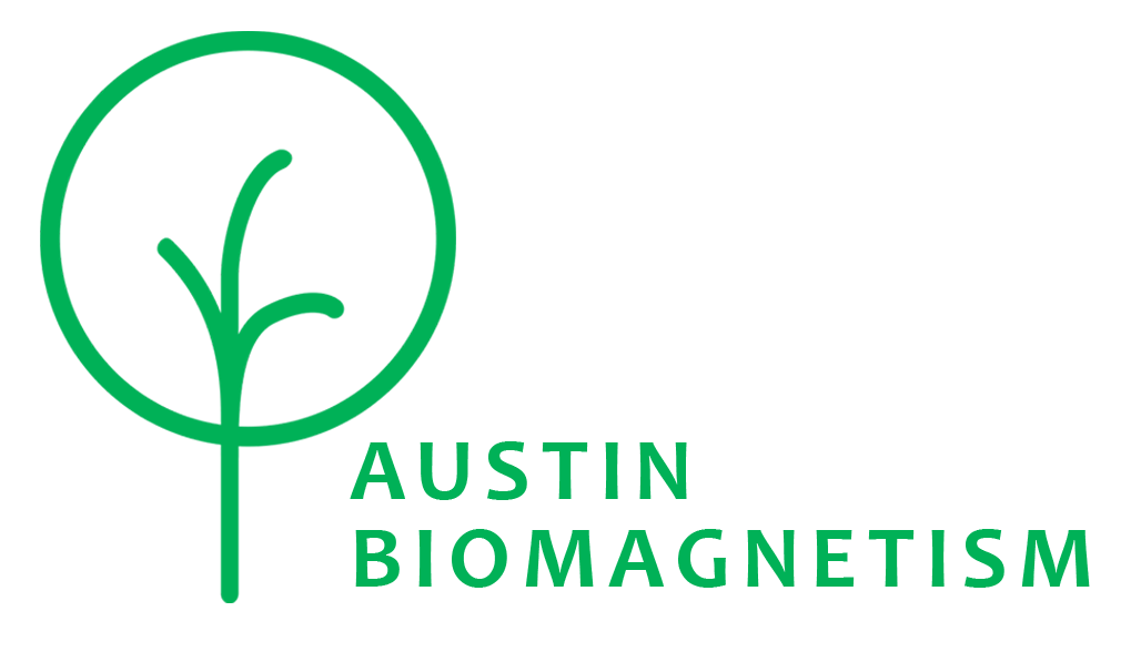 biomagnetism-2